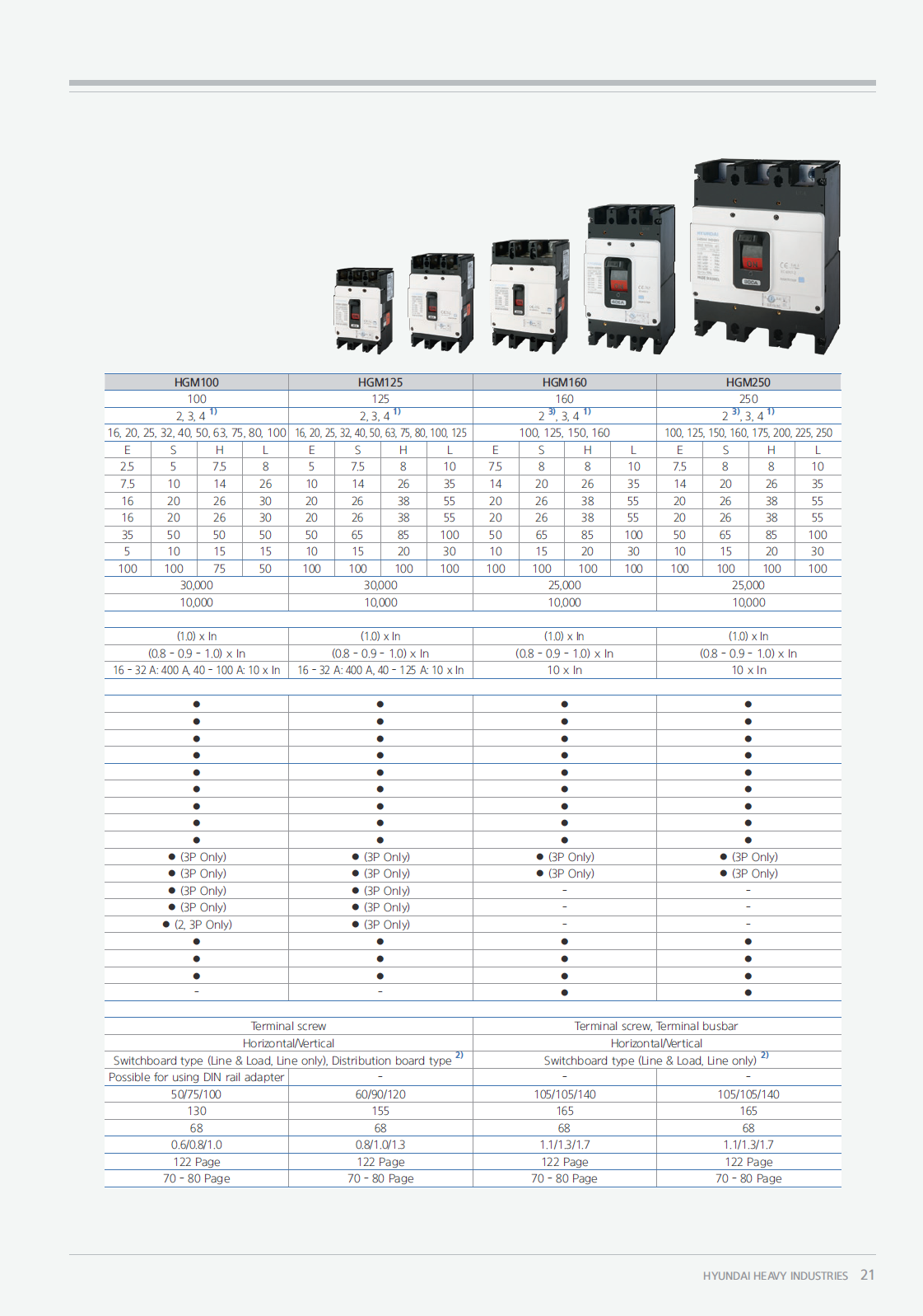 Hyundai Marine Circuit Breaker (MCCB) - HGM100E 2P Fixed / Plug-in Type